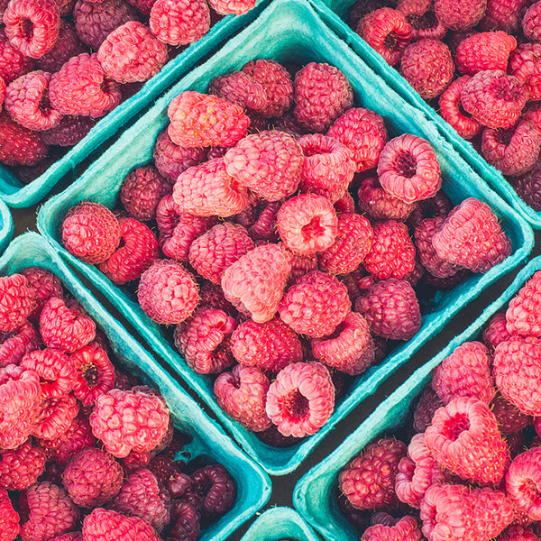 Chilled Lemon and Raspberry Flan Silverwood Bakeware